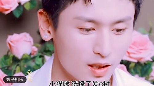 蔡加赞八卦爆料视频大全,揭秘娱乐圈幕后真相 第3张 蔡加赞八卦爆料视频大全,揭秘娱乐圈幕后真相 第3张